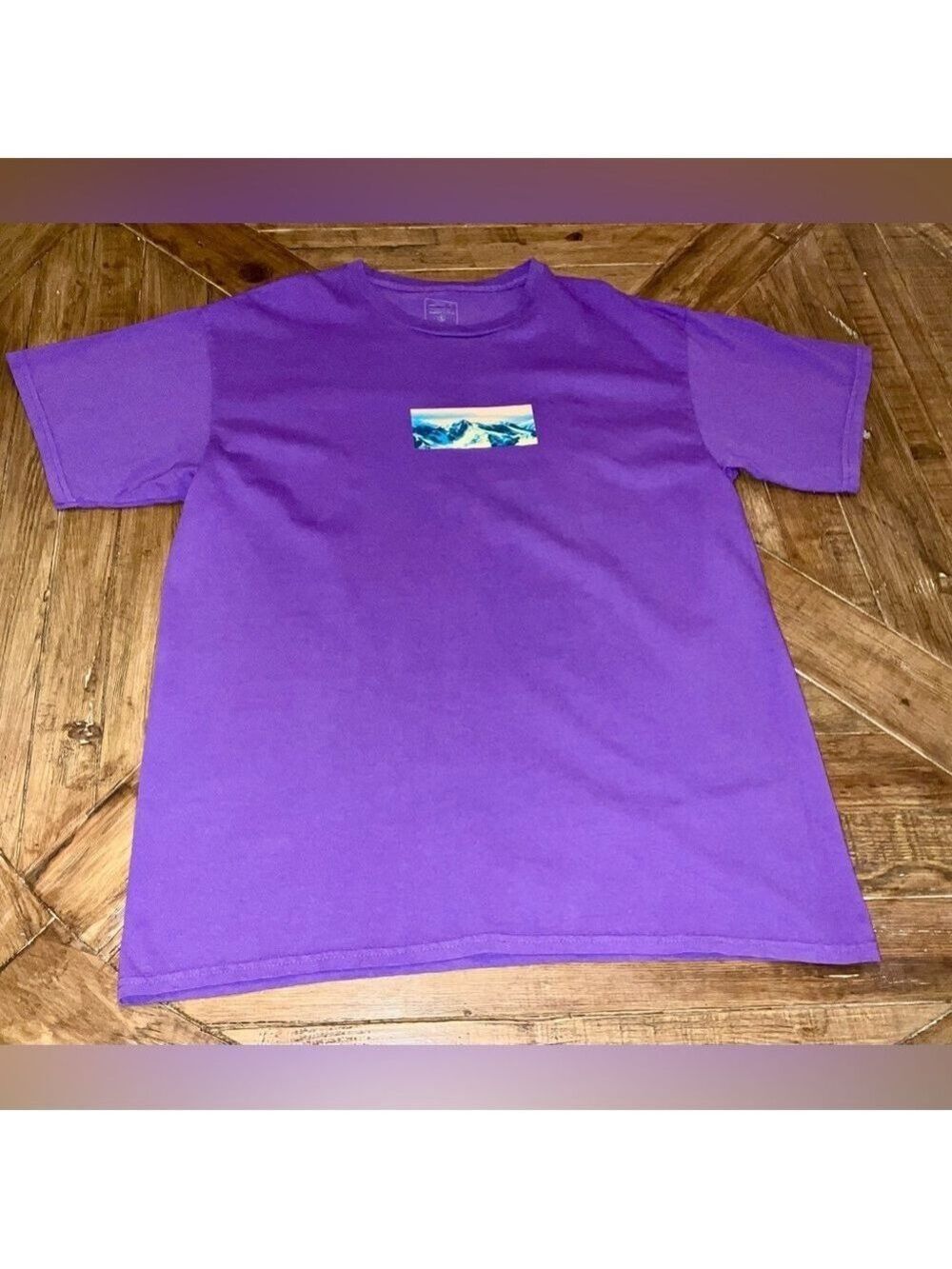 UO Urban Outfitters Landscape V1 T shirt - large - NWOT - Global Hiatus